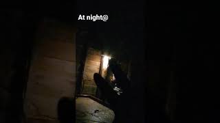 Download lagu At night Kikilu mp3 Download lagu At night Kikilu mp3