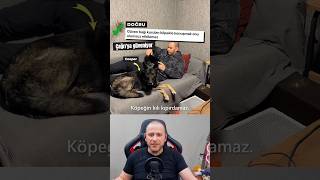Konuşmanı Yanlış Anlıyor #köpek #köpekadam #köpekler #shorts #köpekvideoları #do