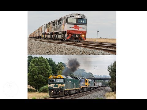 Mixed Freight running Dirty and SCT's MP9
