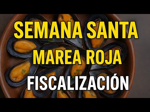 🔍 Plan de Fiscalización por Semana Santa en Quellón y Los Lagos