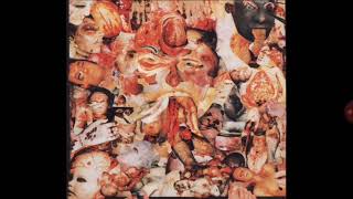 CARCASS MAGGOT COLONY