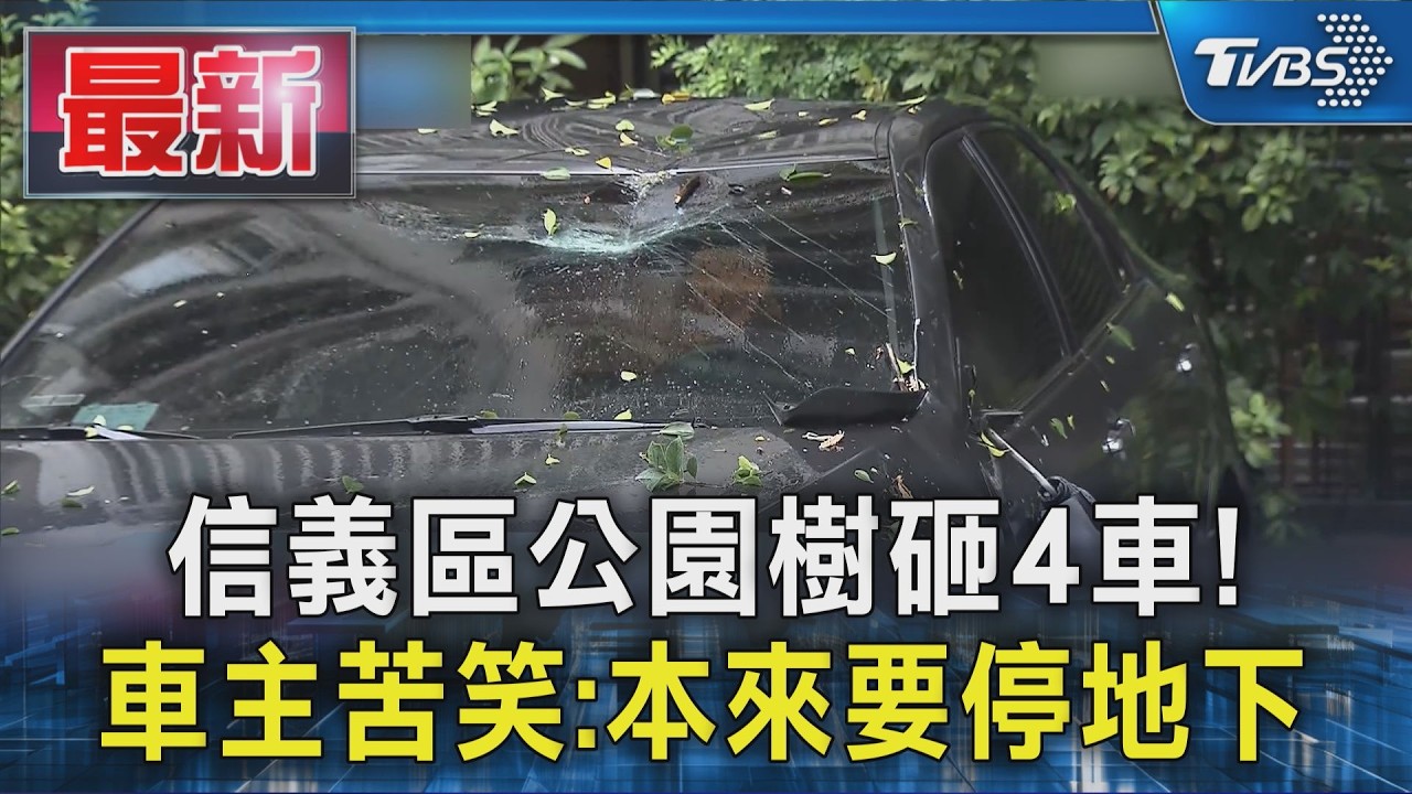 信義區公園樹砸4車! 車主苦笑:本來要停地下|TVBS新聞 @TVBSNEWS01