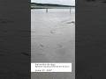 Video Thumbnail for Petrofka Bridge, North Saskatchewan River - June 27, 2026