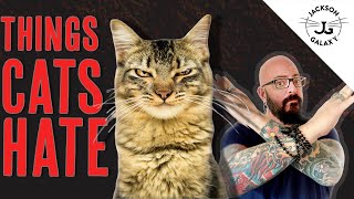 8 Things Cats HATE!