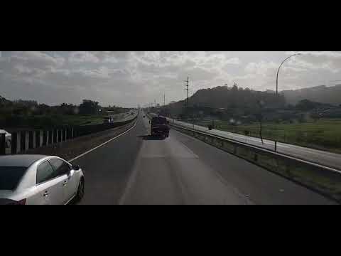 Passando por Araranguá santa Catarina sai cachorro