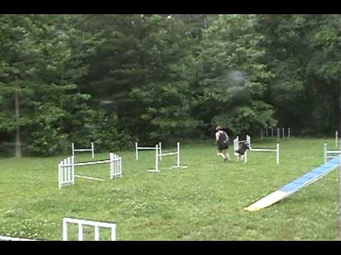 black triangles 09 06 14 16 03 00