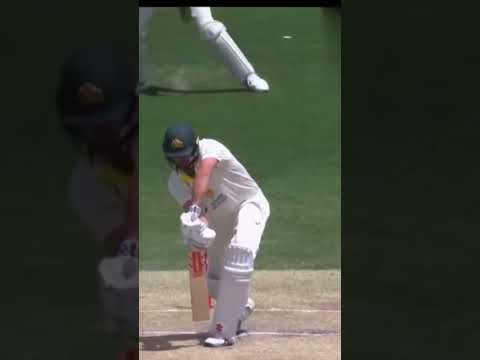 Magical delivery-Anderson