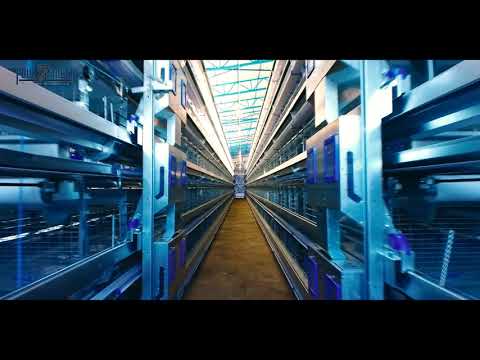 Клеточное Оборудование для Кур-Несушек