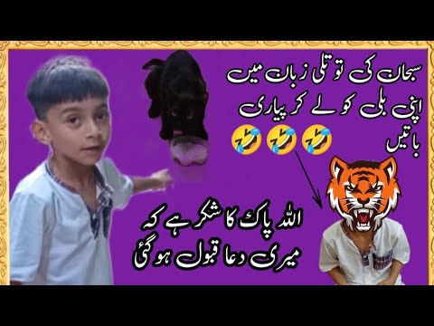 Subhan ki totli zuban ma Cat pr pyari baton ka vlog|God gave Cat 2 Subhan @ZulqarnainSikandar25