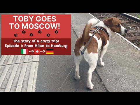 Toby goes to Moscow - Episode 1