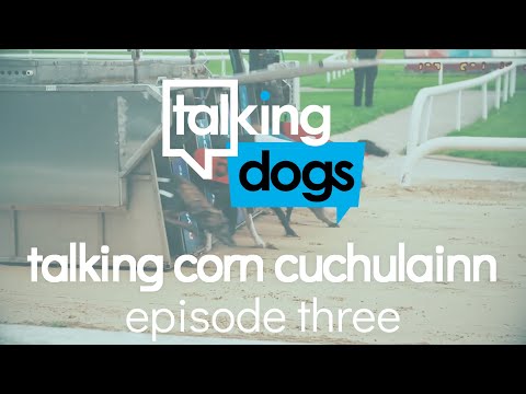 Talking Corn Cuchulainn Episode 3: Monday 12th July