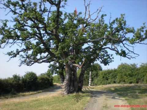 Gravity Albania [ DLS - RSP ] - Keng per Likoshanin