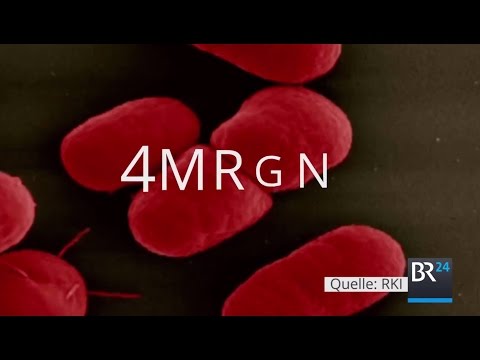 4MRGN: Neue multiresistente Keime sind tickende Zeitbombe | BR24
