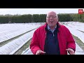 Het witte goud laat op zich wachten | RTV Drenthe