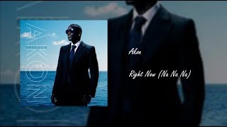 Akon - Right Now (Na Na Na) (Audio)