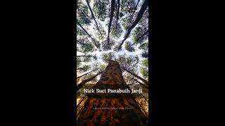 Download lagu Andra Respati & Eno Viola - Niek Suci Panabuih Janji (Lirik) mp3