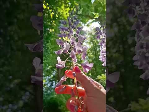 Bewusst-Sein beginnt ab dem Moment des Aufstehen 🔥🔥