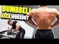 Home Gym Dumbbell Back Workout - best exercises for back at home