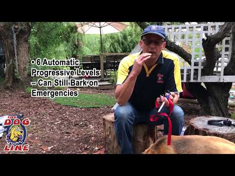 Bark Collar Review - Barking Dog Training Collar Unboxing