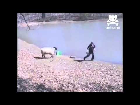 Novi mediji Jovana Veljkovic 382