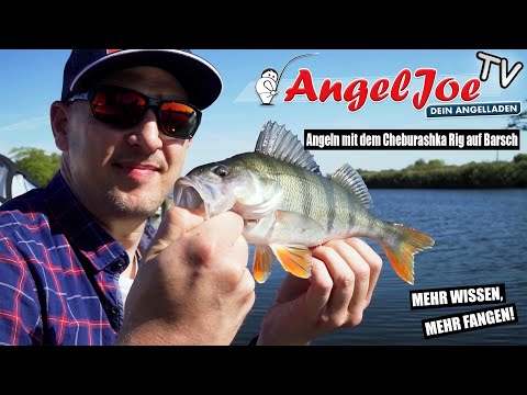 Catching perch with the Cheburashka rig - AngelJoe TV - Tackle Check