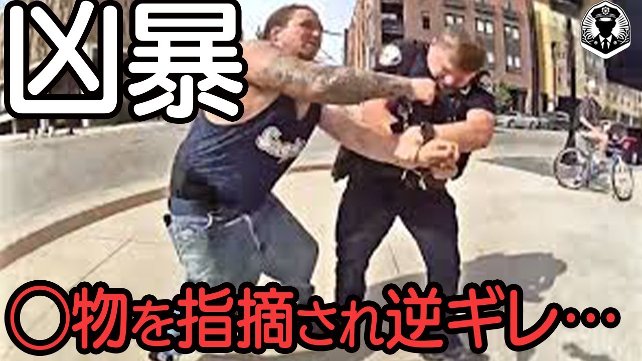 薬物男の呆れた逃走劇！警官3人を殴打し三輪バイクで追跡され禁錮5年【ボディカメラ】【アメリカ警察密着】