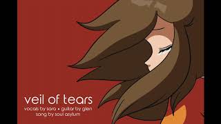 Soul Asylum - Veil of Tears Cover