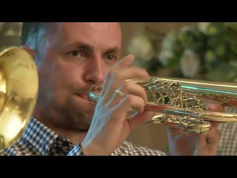 Timočki veseljaci - Vlaško kolo