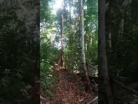 Visita ao Povoado Grécia na zona rural de Timon Maranhão.