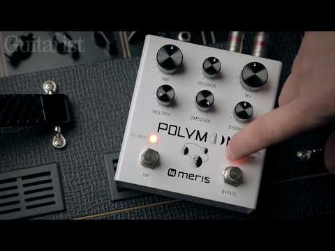 Meris Polymoon Delay Pedal Demo