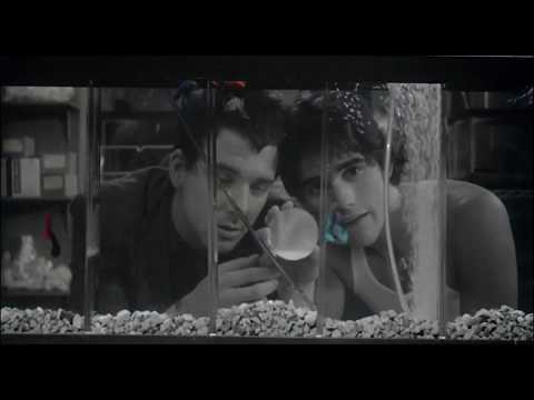 Бойцовая рыбка, 1983, Фрэнсис Форд Коппола, фрагмент