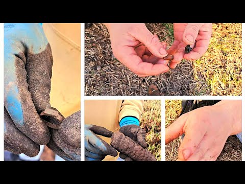 Detectie Epică! Am Găsit Inel Medieval, Grenadă și Comori Uitate!