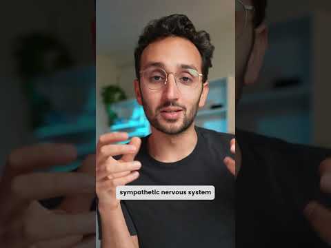 The Science of Stress & How to Reduce It #shorts