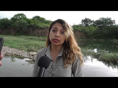 Realizaron controles en el Río Arias tras reportes de presencia de yacarés en la zona de Tres Palmeras