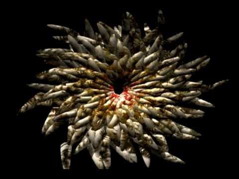 SELF EVIDENT - Out of the Anonymous