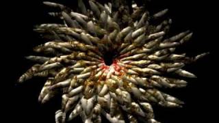SELF EVIDENT - Out of the Anonymous