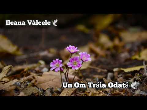 ileana Din Vâlcele-Un Om Trăia Odată. 🕊| O Cântare Deosebită.🕊