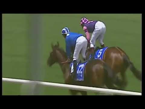 2002 Dubai Sheema Classic G1 - NAYEF (禮義才俊) - R.Hills (喜蓮精神在巫斯義跨下表演神勇拼入一席亞軍)