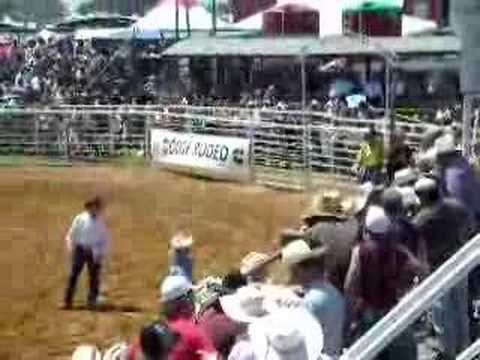 bullriding