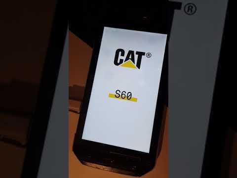 CAT S60 freeze in optimize apps and reboots