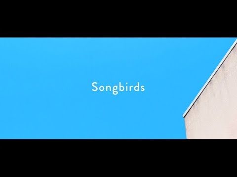 Homecomings - Songbirds（Official Music Video）