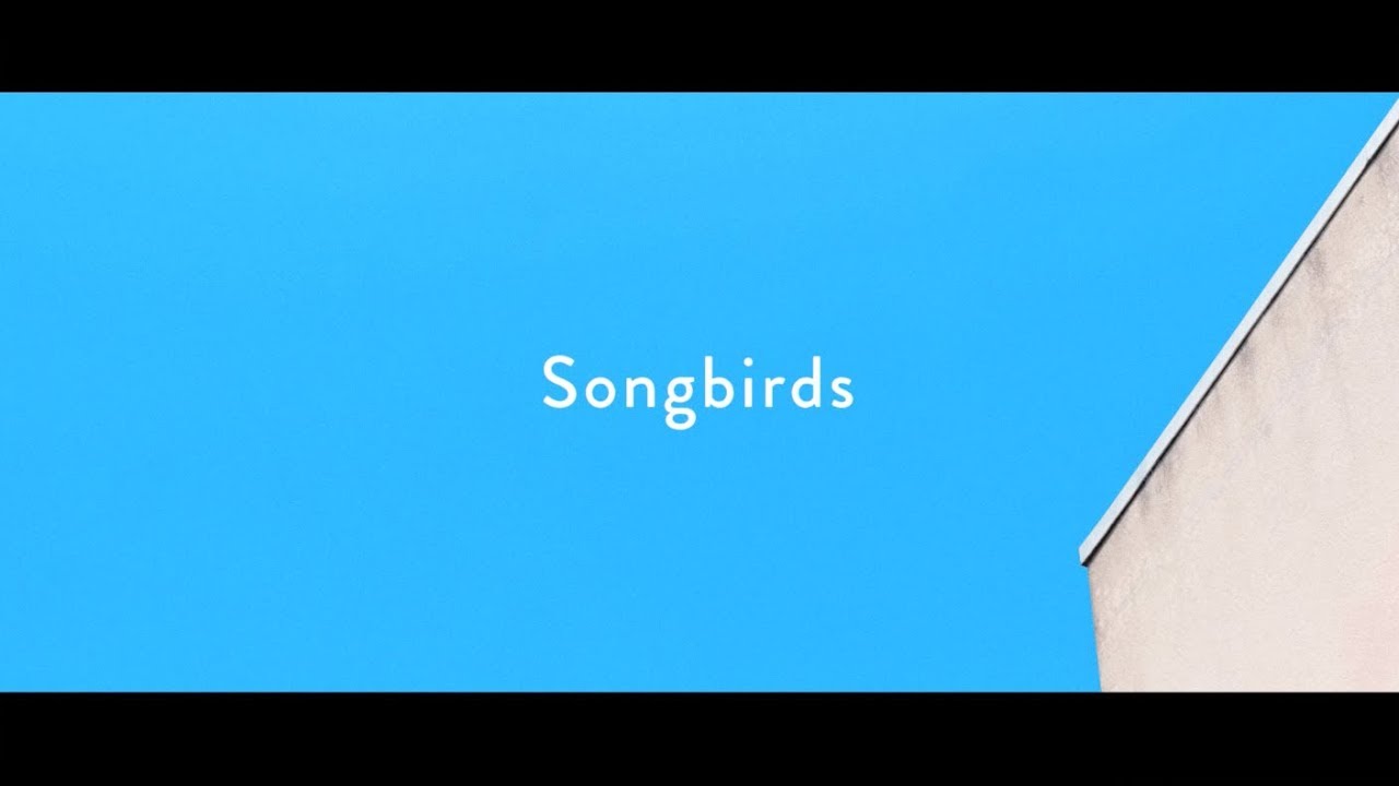 Homecomings - Songbirds（Official Music Video）