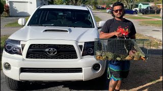 I Bought a TOYOTA TACOMA FROM FACEBOOK MARKETPLACE For IGUANA HUNTING!!!!