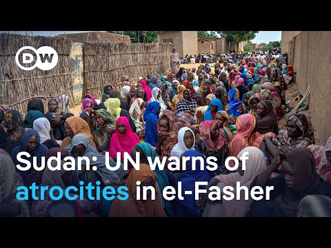 RSF paramilitary forces take control of el-Fasher, Sudan | DW News