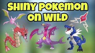 GUARANTEED Shinies?! This Wild Pokemon GO Guide is FIRE!
