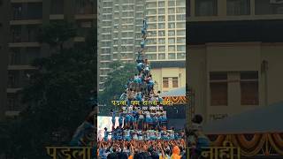 Download lagu jay javan ❤️🙌🏻 #jayjavan #govinda #dahihandi #progovinda #dahihandi2025 #viral #trending mp3