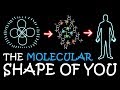 The Molecular Shape of You (Ed Sheeran Parody) | A Capella Science