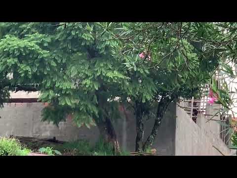 Rua Capitão Andrade - Botucatu 