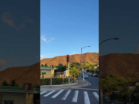 Lufthaus & Robbie Williams - Immortal (feat. Sophie Ellis-Bextor)