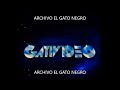 Gativideo ID 1998